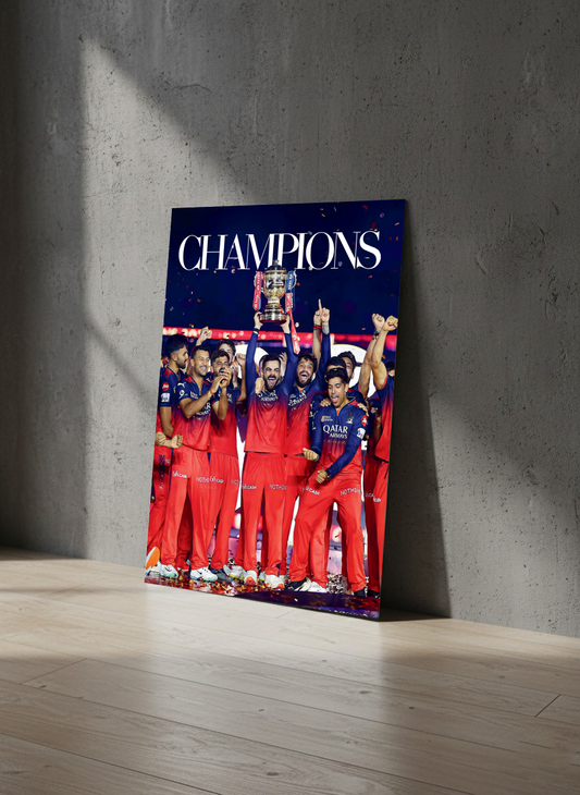 CHAMPIONS — Ultimate Victory Cricket Metal Poster
