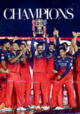 CHAMPIONS — Ultimate Victory Cricket Metal Poster
