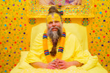 Divine Guru – Sanatan Spiritual Metal Wall Art